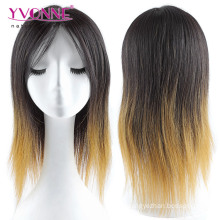 Ombre Color Brazilian Full Lace Wig Straight Hair Wig